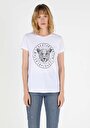 thumb-Afficher les détails de T-shirt À Manches Courtes Blanc Regular Fit  Femme