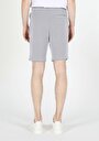thumb-Afficher les détails de Short Gris Regular Fit Homme