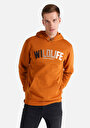 thumb-Afficher les détails de Pull-over Camel   Homme