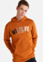 thumb-Afficher les détails de Pull-over Camel   Homme