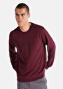 thumb-Afficher les détails de Pull-over Bordeaux Regular Fit  Homme