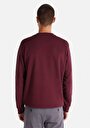 thumb-Afficher les détails de Pull-over Bordeaux Regular Fit  Homme