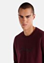 thumb-Afficher les détails de Pull-over Bordeaux Regular Fit  Homme