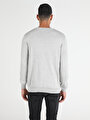 thumb-Afficher les détails de Pull Gris Regular Fit   Homme