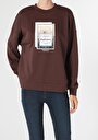 thumb-Afficher les détails de Pull-over Marron Regular Fit  Femme