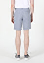 thumb-Afficher les détails de Short Bleu Regular Fit Homme