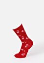 thumb-Afficher les détails de Chaussettes Multicolou Modern Fit Femme
