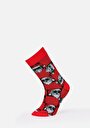 thumb-Afficher les détails de Chaussettes Multicolou Modern Fit Homme