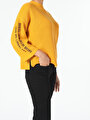 thumb-Afficher les détails de Pull Jaune Regular Fit   Femme