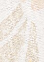 thumb-Afficher les détails de T-shirt À Manches Courtes Ecru   Femme